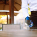Serviço de Copeiras de Limpeza - Centaurus